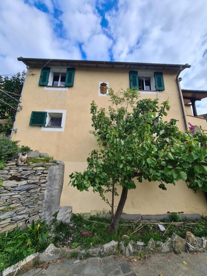 Castrusso Il Frantoio Di Rapallo By Portofinovacanze Ngoại thất bức ảnh
